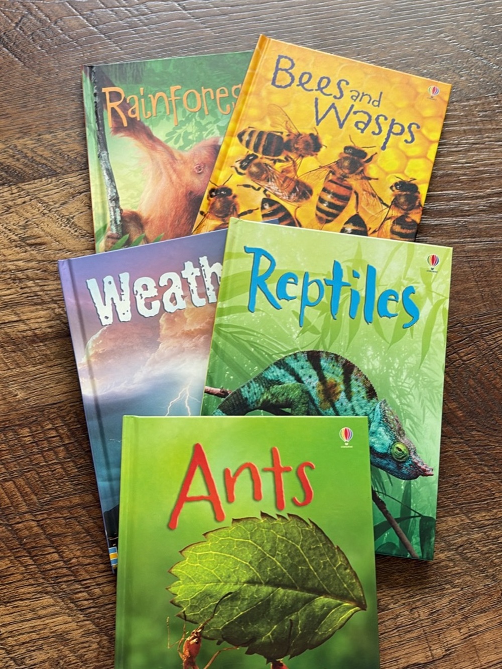 Sonlight/Usborne Science books